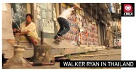walker-ryan