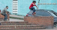 Braulio-colobia