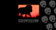 stranger-2011