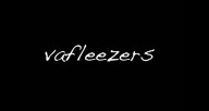 vaflz-2010