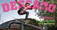 Portada-Steve