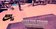 nike-sb-roundhouse