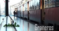 Cosecha-Skateboards-Graneros