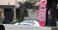 flip-demo-stoner-park
