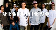 transworld-afternoon-in-the-park-cliche