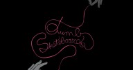Dumb-Skateboards-Is-Dumb-ul-2011