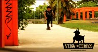 spanter-video-ian-varas-vida-de-perros-2011