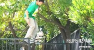 Felipe-Tiznado-fake