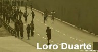 fats-dichis-loro-duarte
