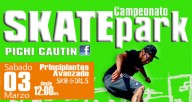 skatepark_temuco