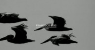 FRANCISCO-RIOS---UN-DIA