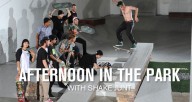 TWS-Afternoon-In-The-Park-Shake-Junt