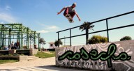 Cosecha-Skateboards--Paulo-Borquez---Parquez
