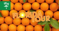 LRG-Florida-Tour-2012