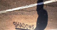 Predatory-Bird-Peter-Brings-the-Shadow-to-Life
