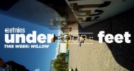 etnies-Under-Our-Feet-Willow