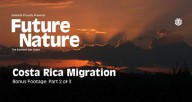 FUTURE-NATURE-'COSTA-RICA-MIGRATION'-Part-2-of-3