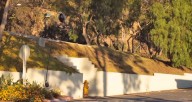 Bones-Wheels-Jaws-Uncut-new-ground-bones-wheels