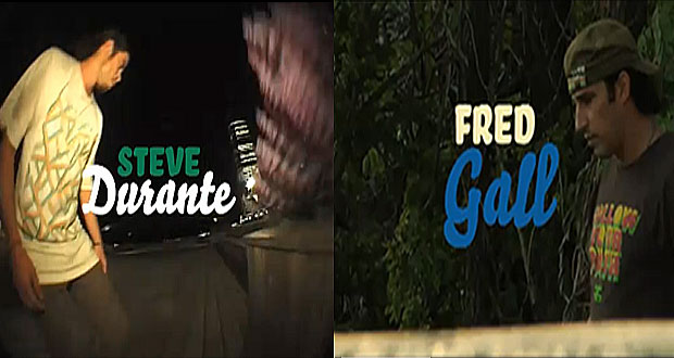 Fredsteve