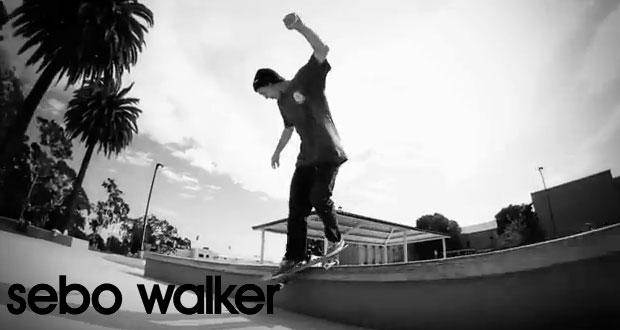 sebo-walker