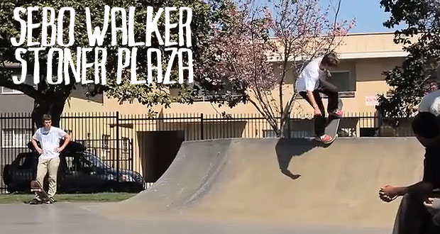sebo-walker
