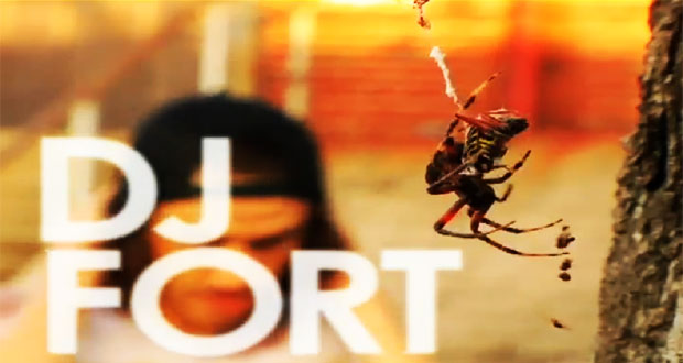 dj-fort