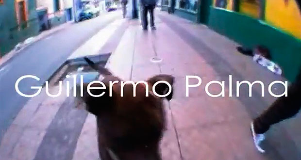 Guillermo-Palma