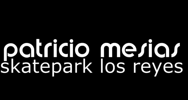Patricio-mesias-Skatepark-Los-reyes-2011