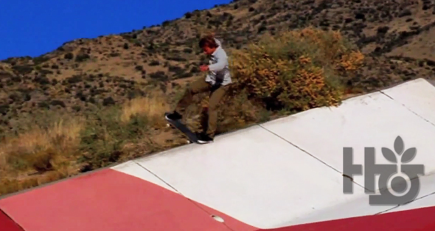 habitat-skateboards-Texico-Tour