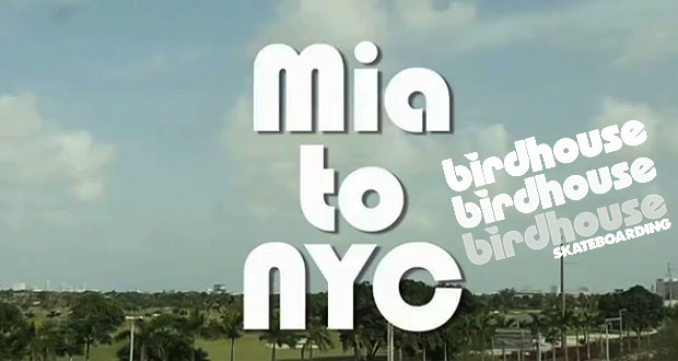 Birdhouse-mia-to-nyc