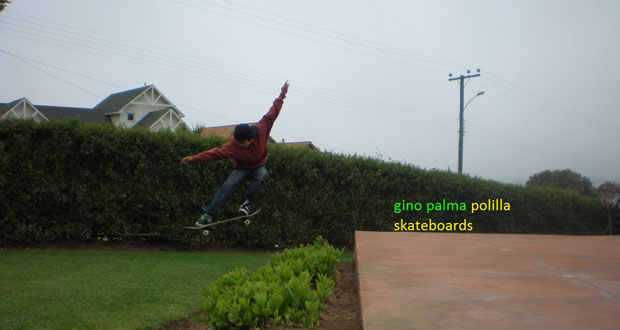 Gino-Palma-Polilla-Skateboards