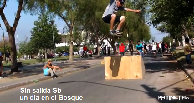 sin-salida-sb-un-dia-en-el-bosque