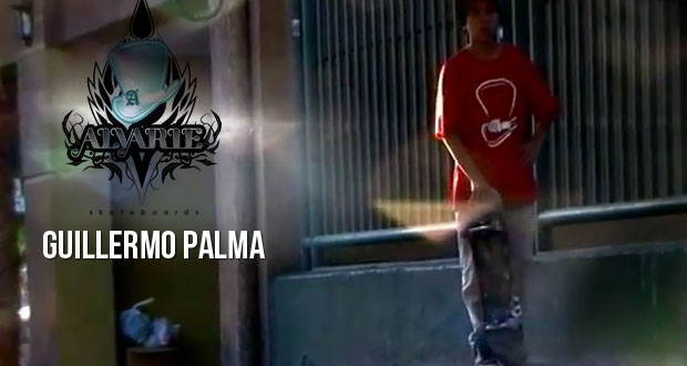 Guillermo-palma-alvarie-skateboards