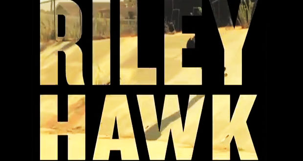 Lakai-Footwear-Riley-Hawk