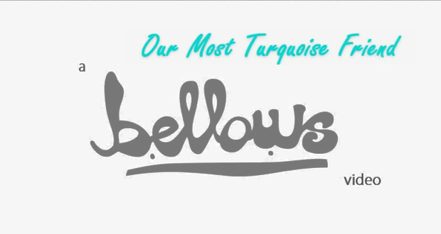 Bellows-Skateboards--Mika-Edin-Our-Most-Turquoise-Friend