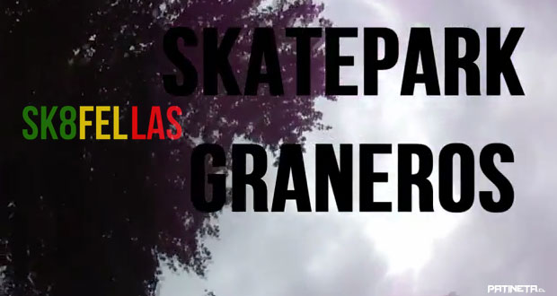 sk8-fellas-skatepark-graneros