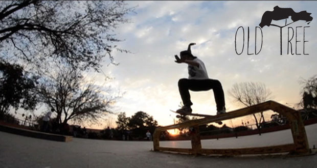 old-tree-skateboarding-'clip1'