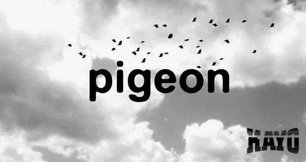 Josh-Kalis-Stevie-Williams-en-Love-Park--Dgk-Kayo-Tv-Pigeon