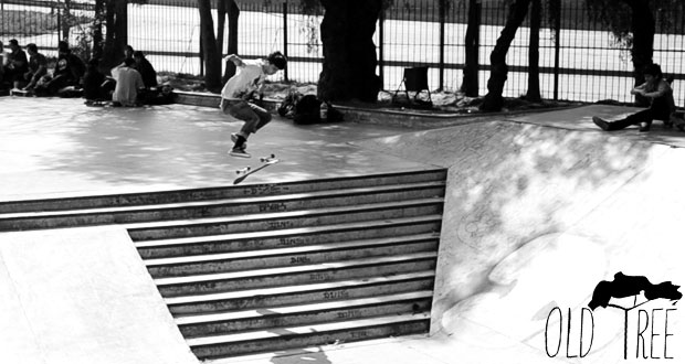 old-tree-2-dias-skatepark-ohiggins