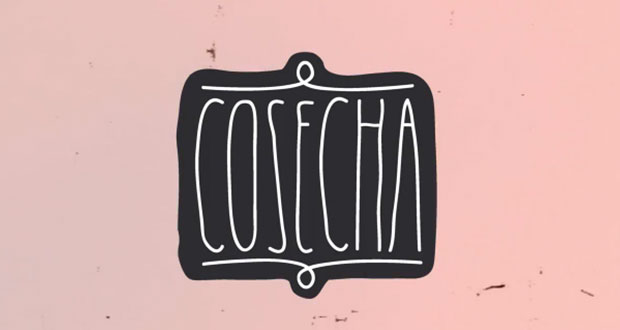 Cosecha-skateboard-video-2-FULL