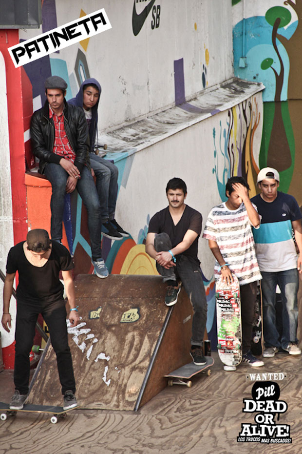 Pill-dead-or-alive-patineta-12