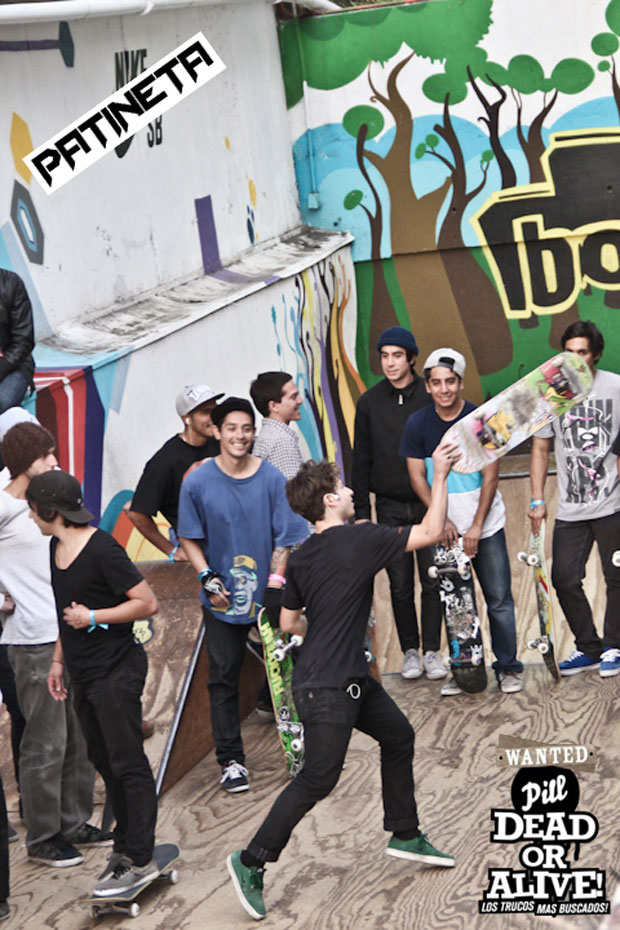 Pill-dead-or-alive-patineta-7