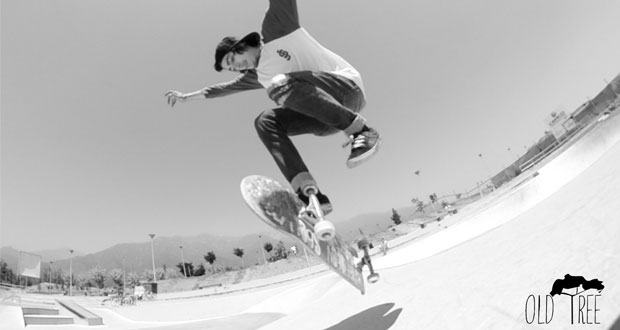 old-tree-amigos-ride-or-die-skatepark-penalolen-