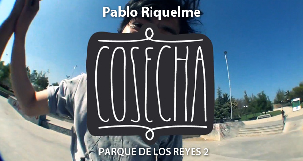 pablo_cosecha2_post