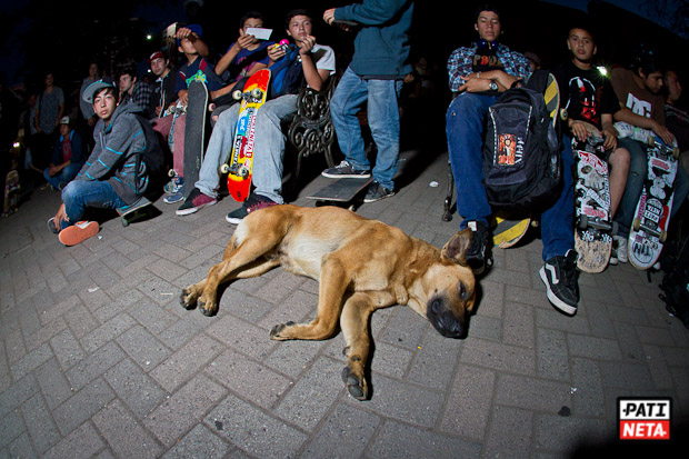 skatefestiva_dia2-27
