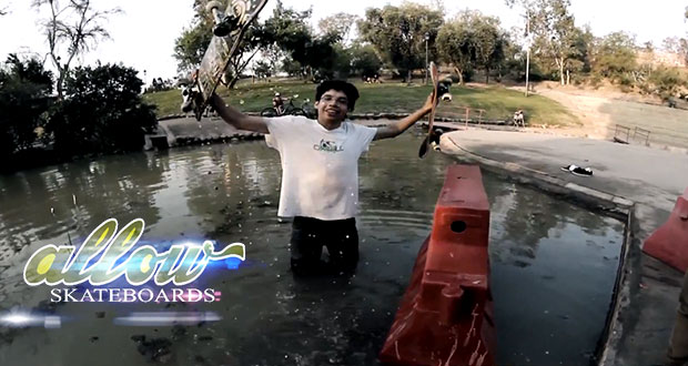 ALLOW-Skateboards-Quinta-region