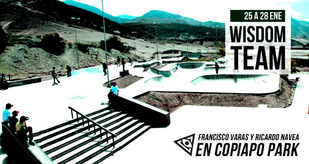 _Francisco-Varas-Skatepark-Copiapo