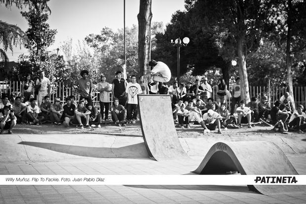 flip-willy-1