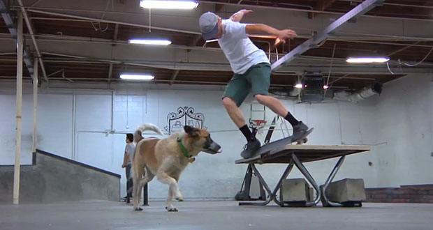 Dickies-Skate-videos-A-Moment-With-Kevin-Terpening