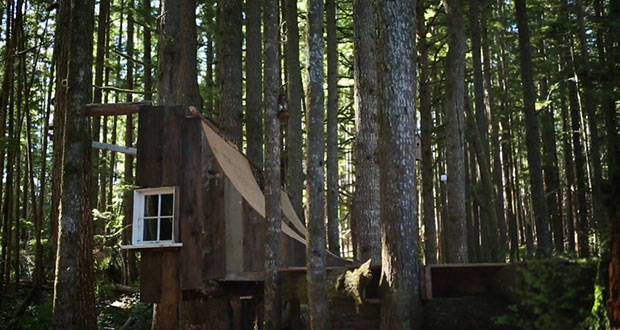 Into-the-Thicket---Trailer